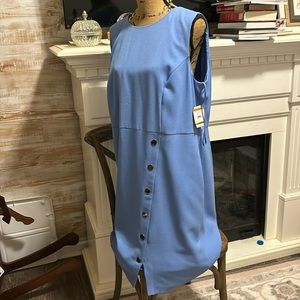 CUTE Wedgwood blue sleeveless dress, NWT Princess seams, button embellishments